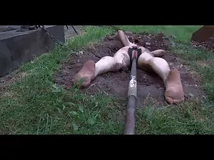 Il baise ma petite c ...
