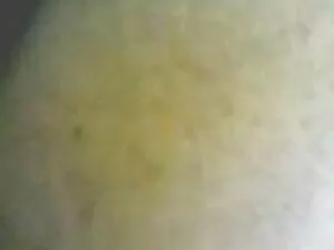 Lotta coqnu hd 22 it ...